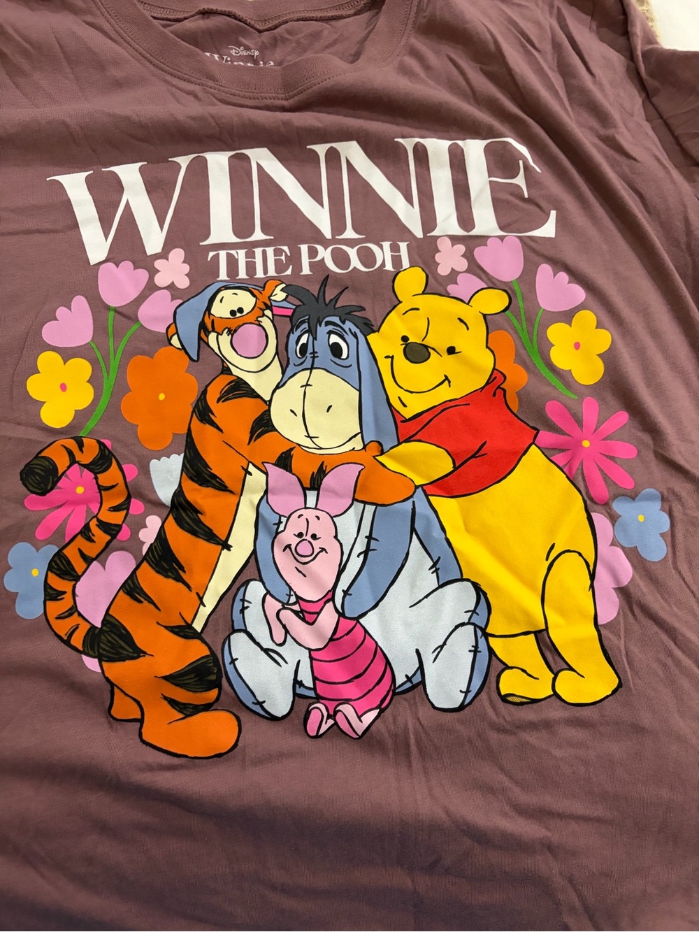 Women’s Torrid 2x Disney Winnie the Pooh Graphic T-Shirt
